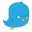 twitter